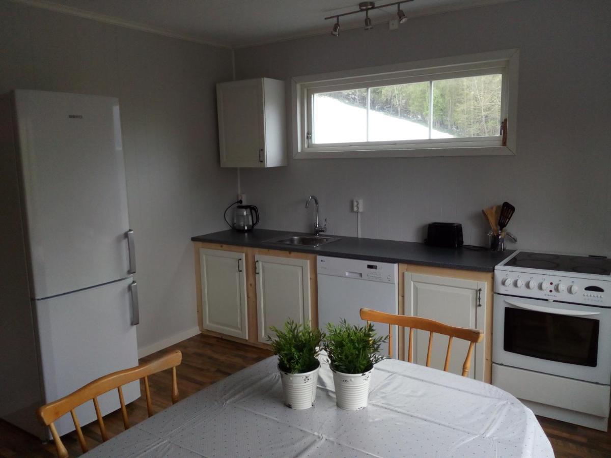 Mountain View House Βίλα Isfjorden Εξωτερικό φωτογραφία